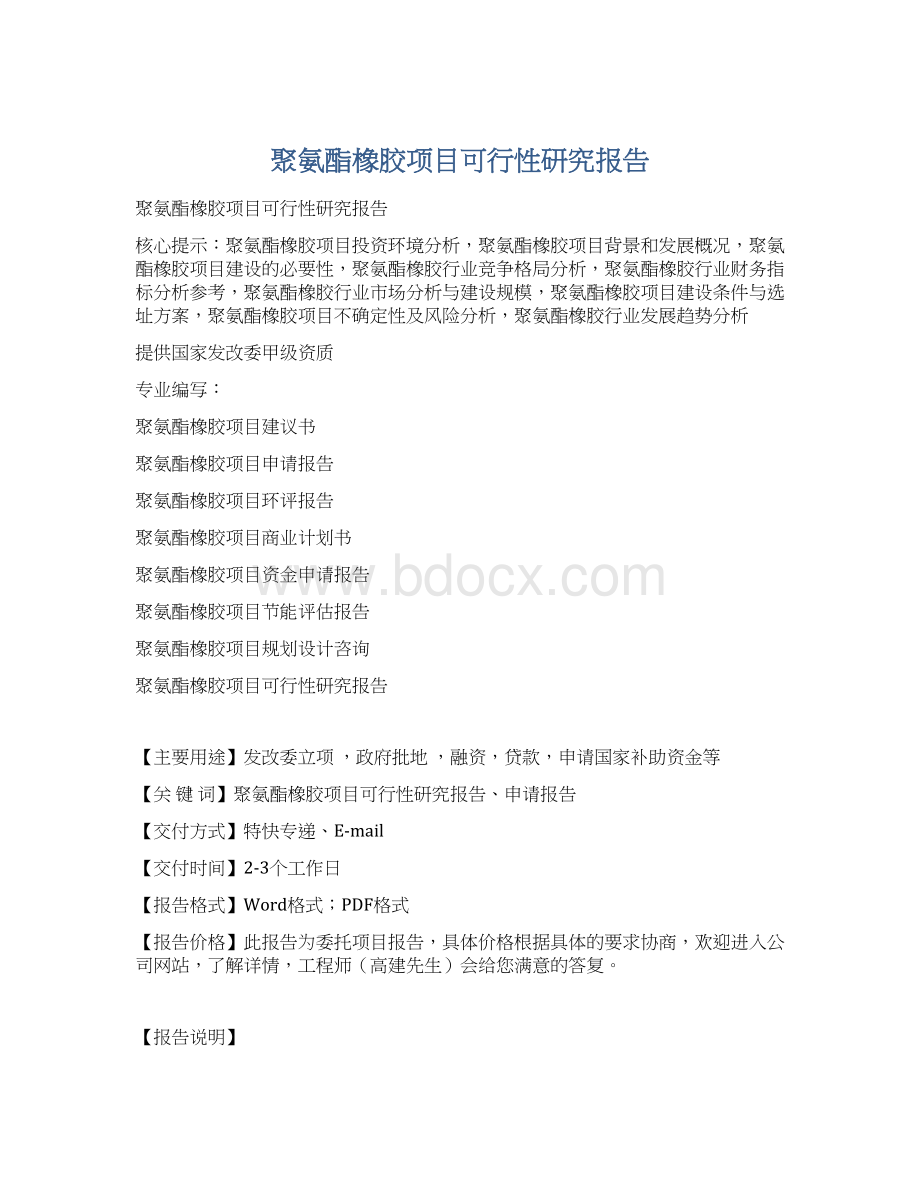 聚氨酯橡胶项目可行性研究报告.docx