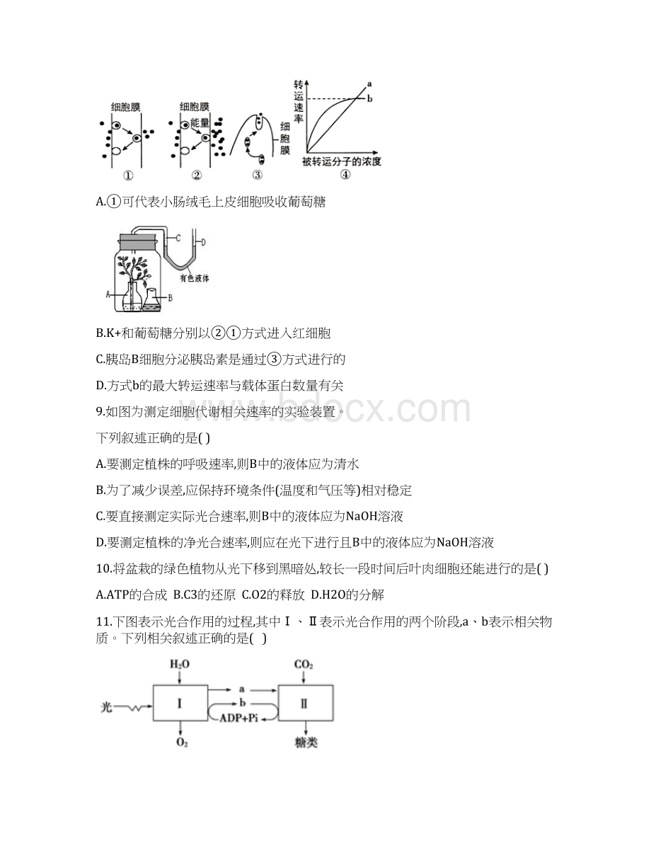 江苏省沭阳县修远中学届高三上学期第一次阶段性测试月考生物试题及答案.docx_第3页