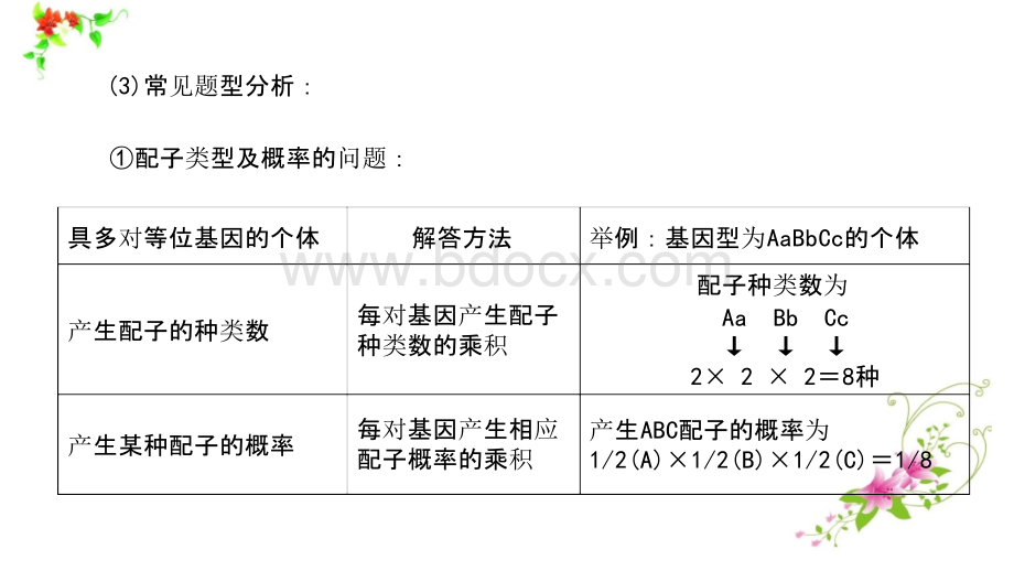 2019年高考生物一轮复习课件(最全版)501-1000PPT格式课件下载.pptx