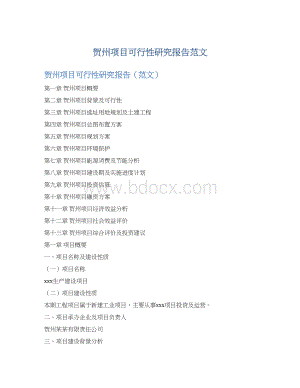 贺州项目可行性研究报告范文.docx