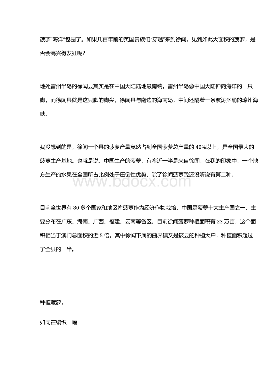 徐闻菠萝Word文档格式.docx_第2页