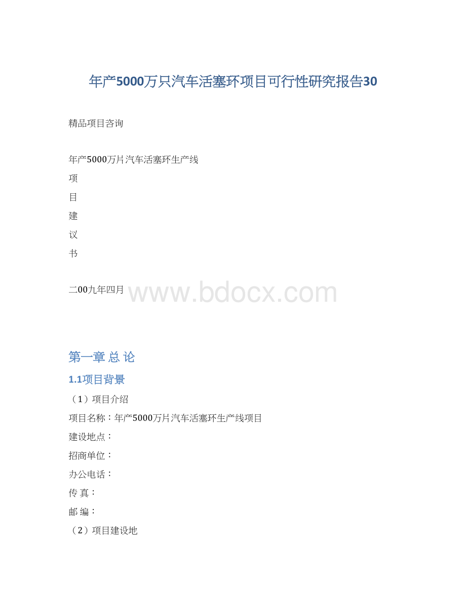 年产5000万只汽车活塞环项目可行性研究报告30.docx