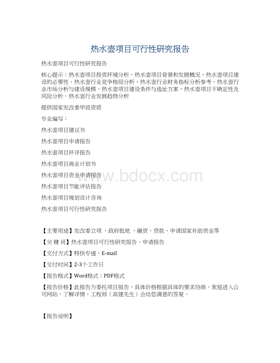 热水壶项目可行性研究报告.docx_第1页