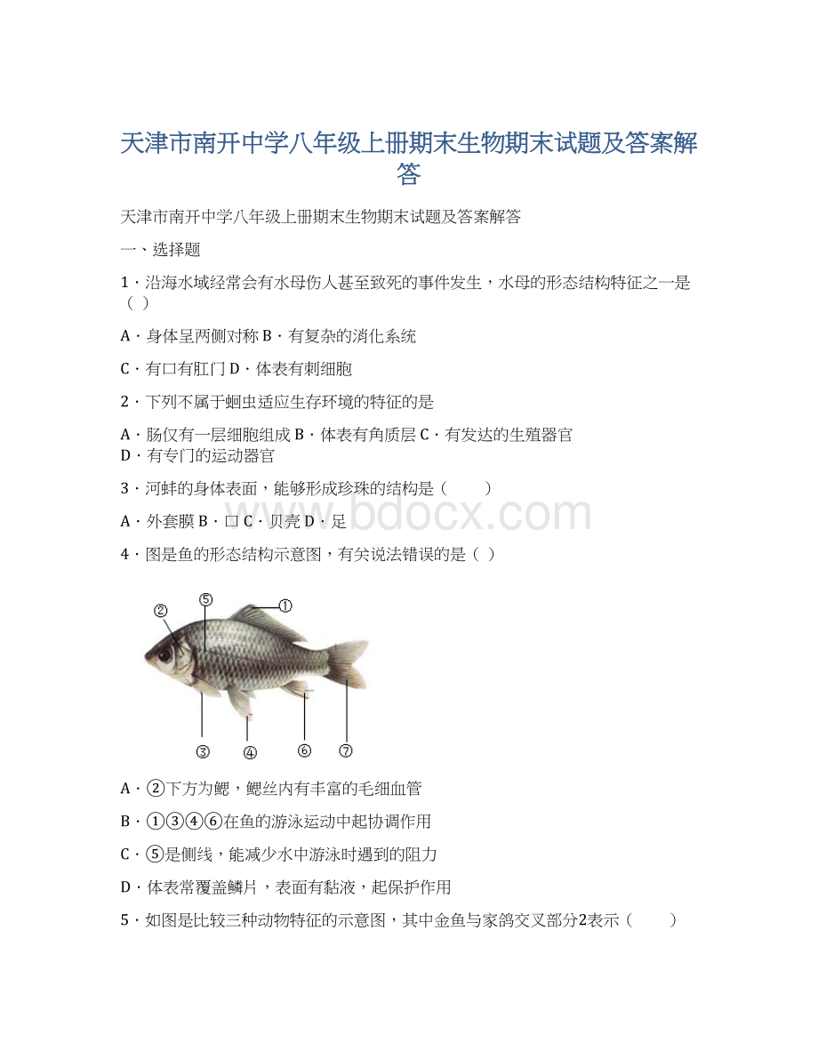 天津市南开中学八年级上册期末生物期末试题及答案解答Word文档格式.docx