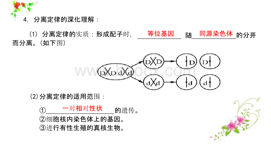 2019年高考生物一轮复习课件(最全版)451-600.pptx