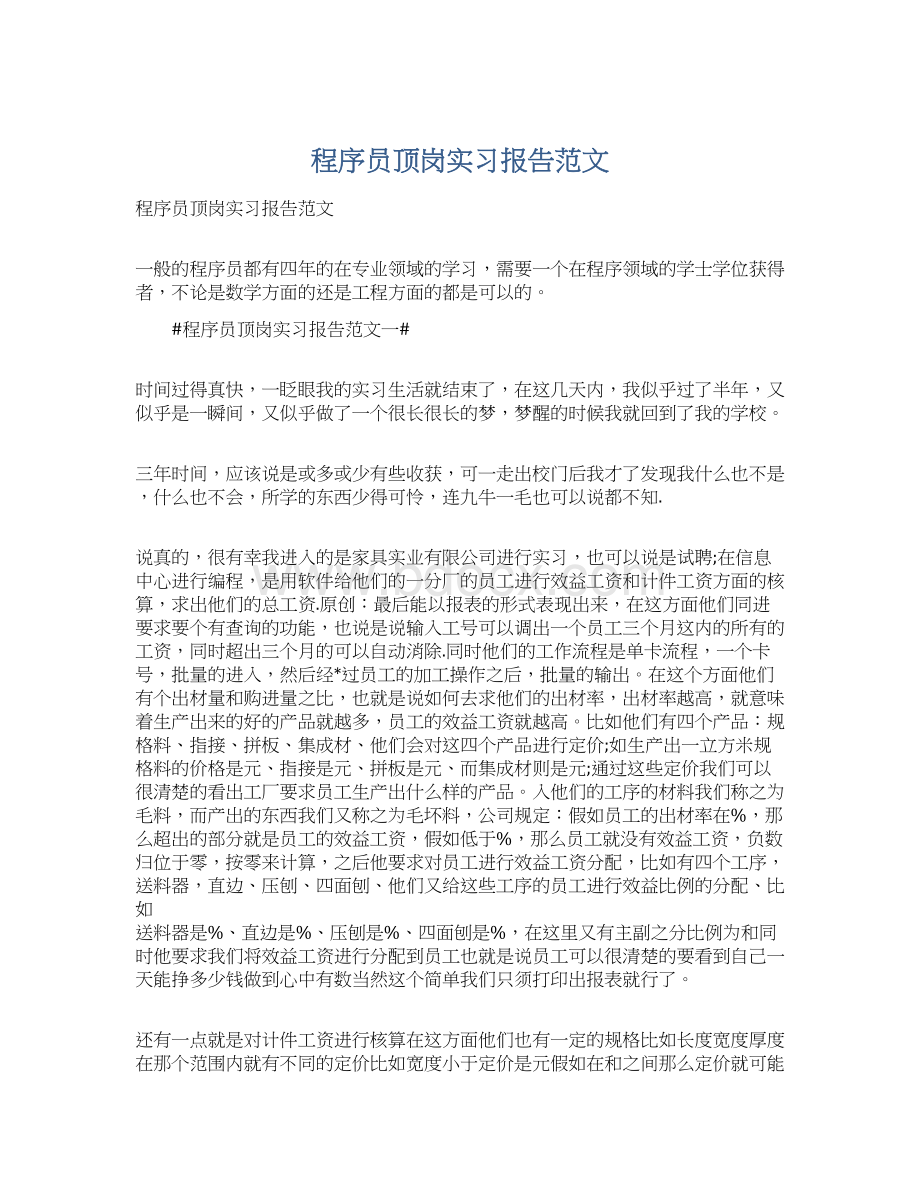 程序员顶岗实习报告范文文档格式.docx