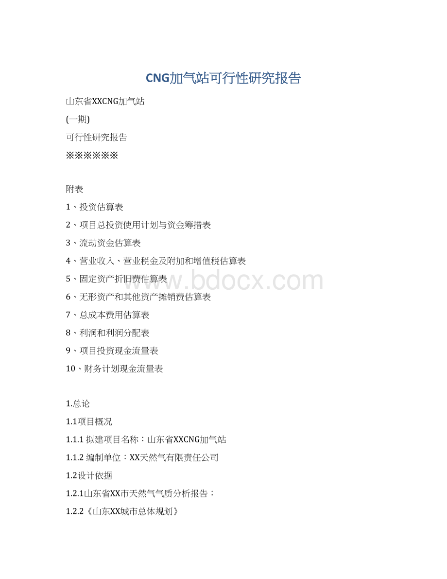 CNG加气站可行性研究报告文档格式.docx_第1页