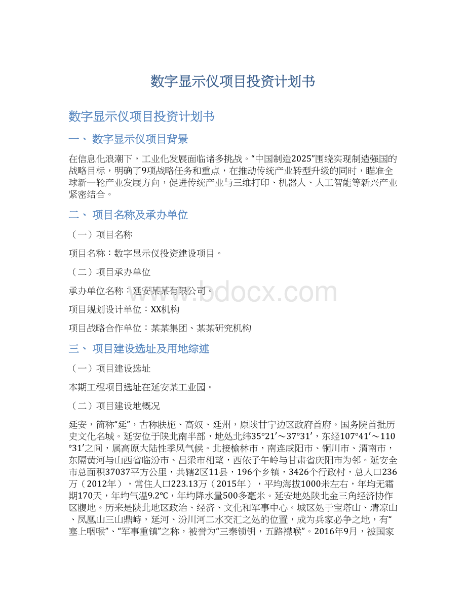 数字显示仪项目投资计划书.docx