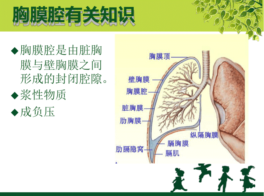 胸腔引流管的护理PPT课件PPT格式课件下载.pptx_第3页