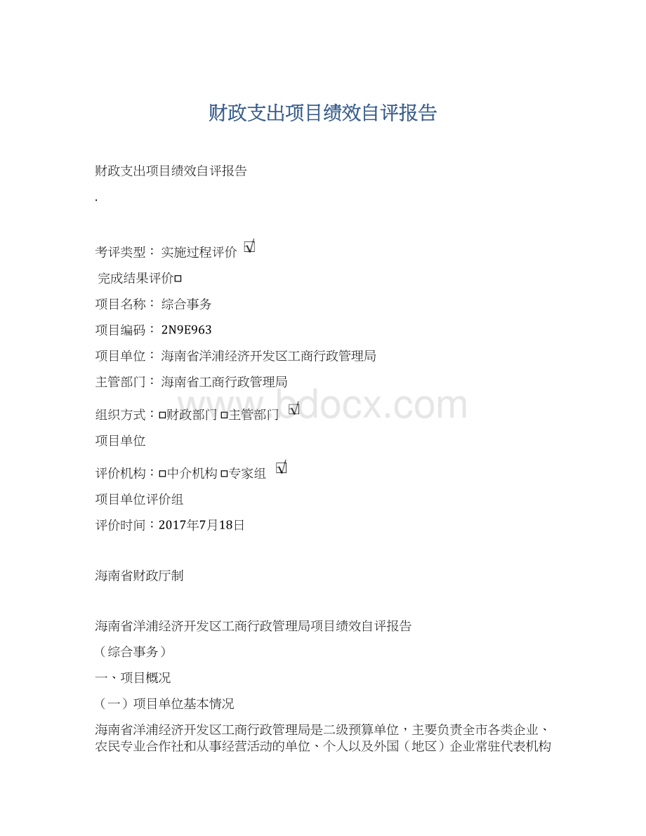 财政支出项目绩效自评报告.docx_第1页