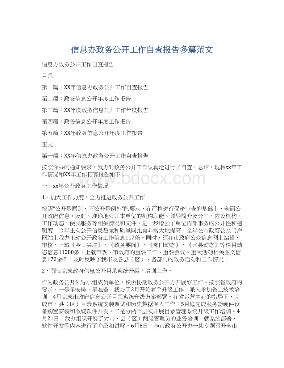 信息办政务公开工作自查报告多篇范文Word格式文档下载.docx