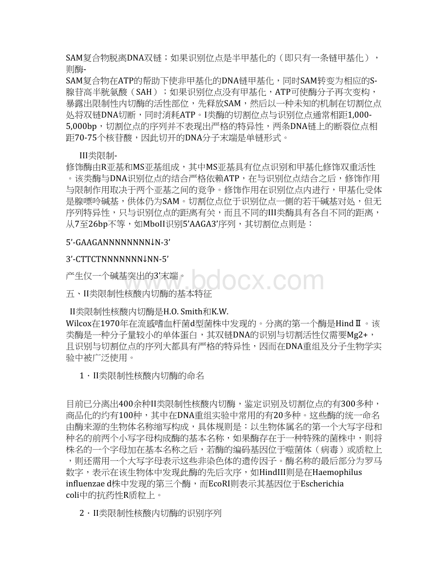 第三章 基因工程的酶学基础Word文档下载推荐.docx_第3页