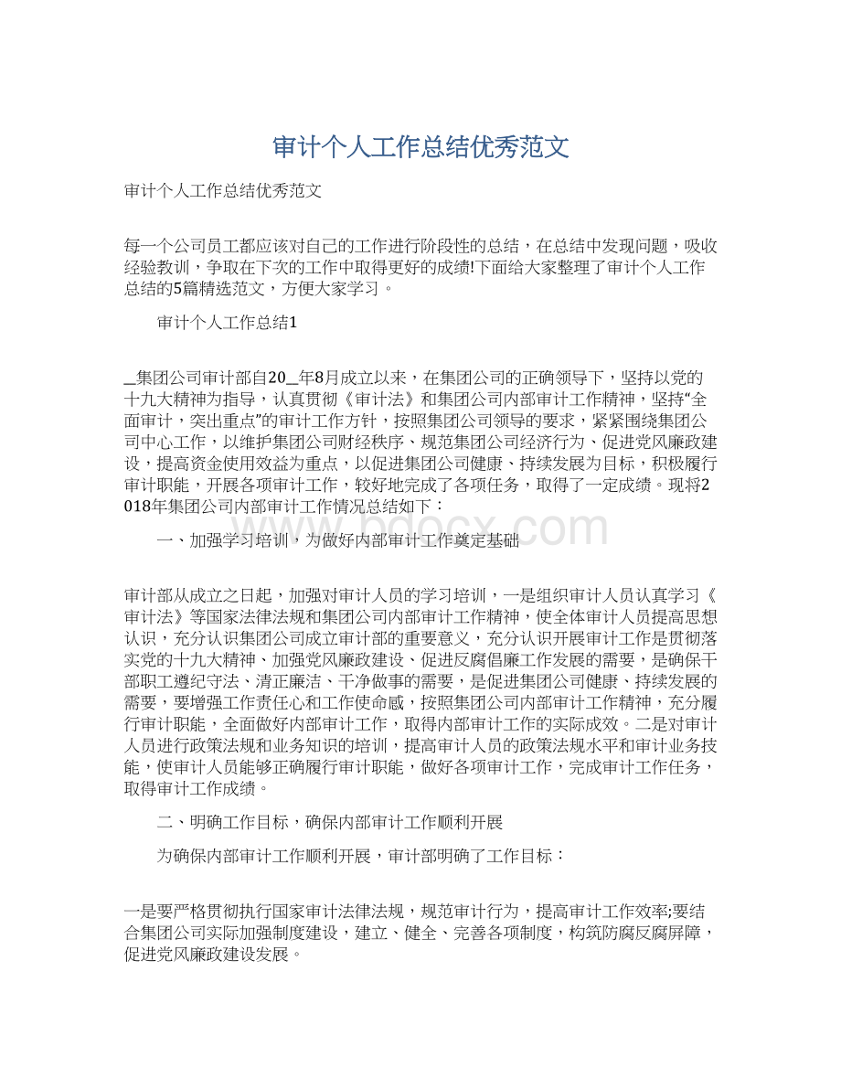 审计个人工作总结优秀范文Word格式.docx_第1页