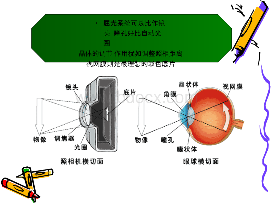 屈光不正、斜视、弱视PPT文件格式下载.pptx_第2页