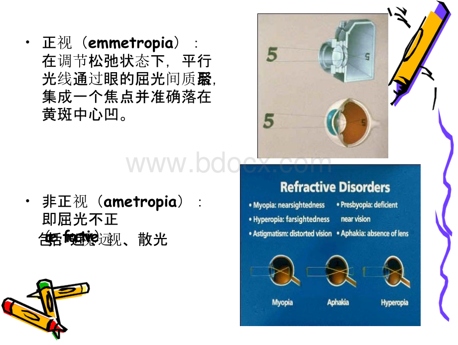 屈光不正、斜视、弱视PPT文件格式下载.pptx_第3页