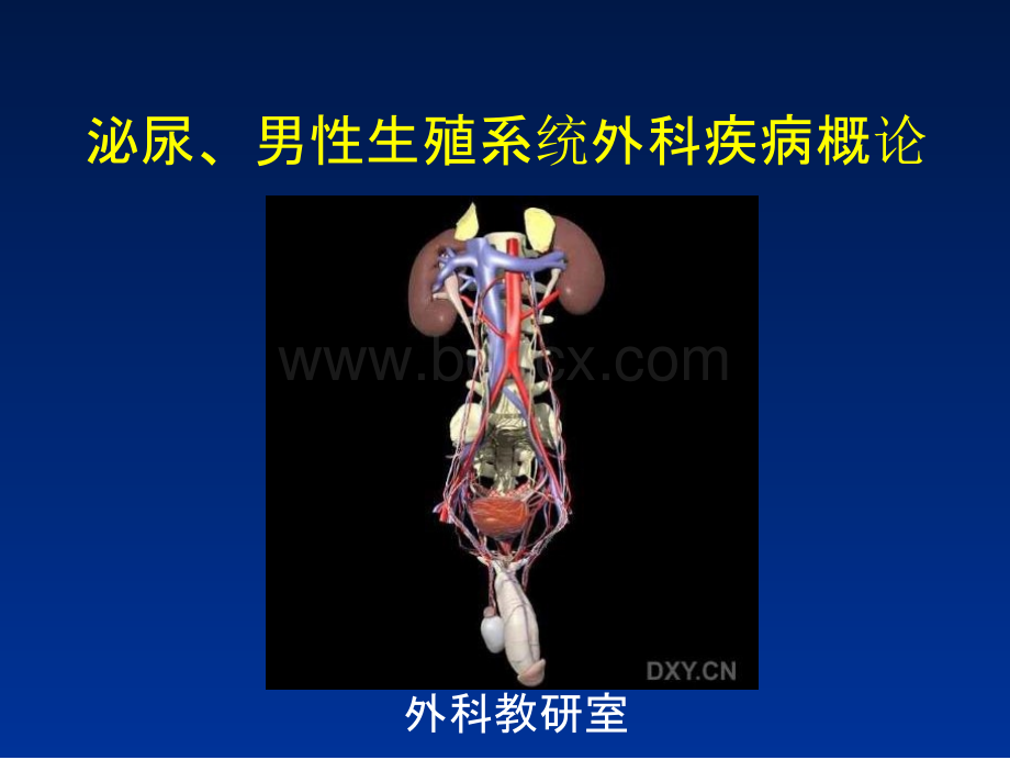 泌尿、男性生殖系统外科疾病概论PPT文件格式下载.pptx