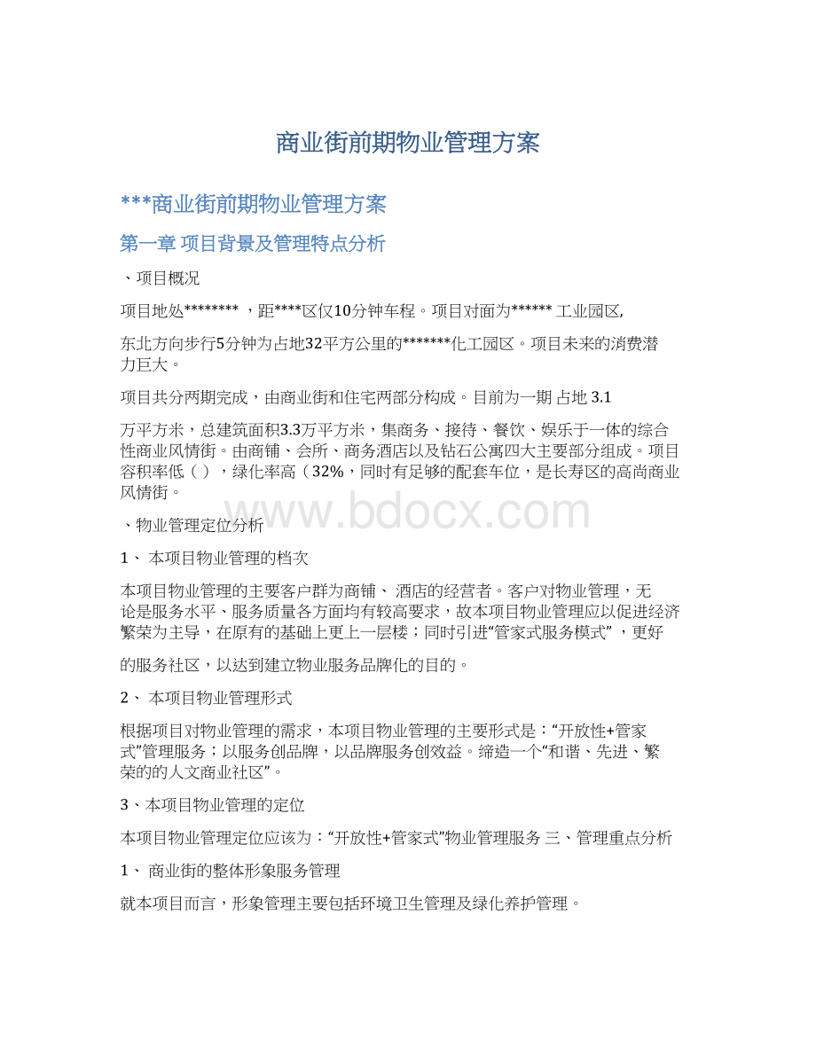 商业街前期物业管理方案文档格式.docx