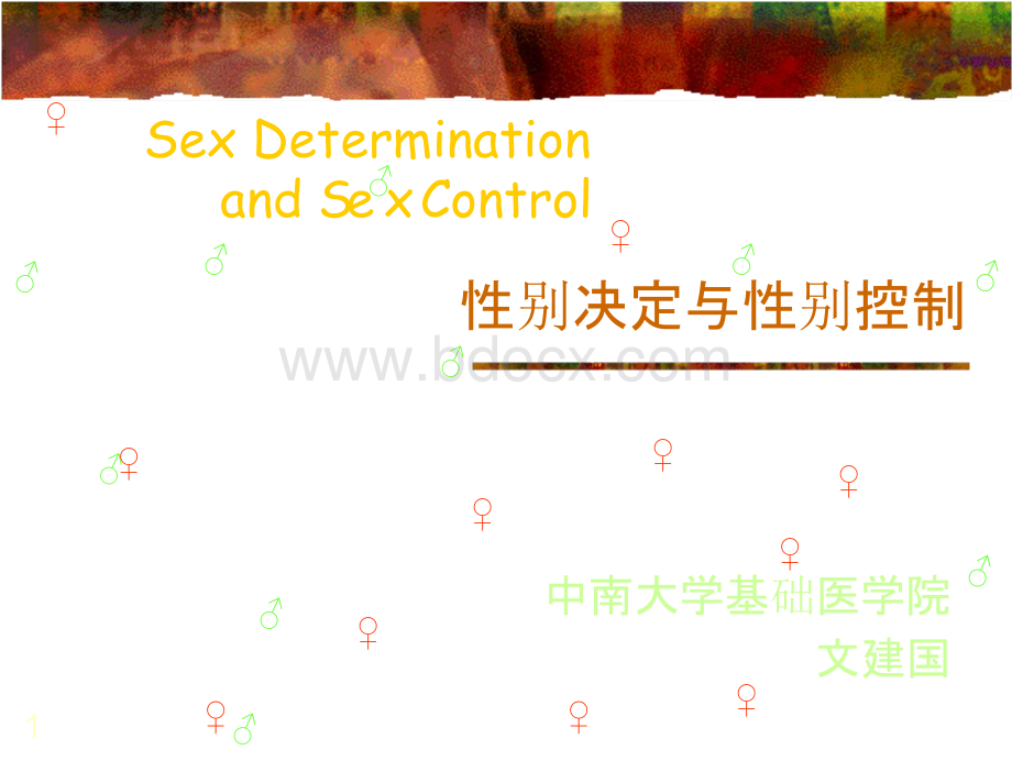 2010性别决定与性别控制优质PPT.pptx