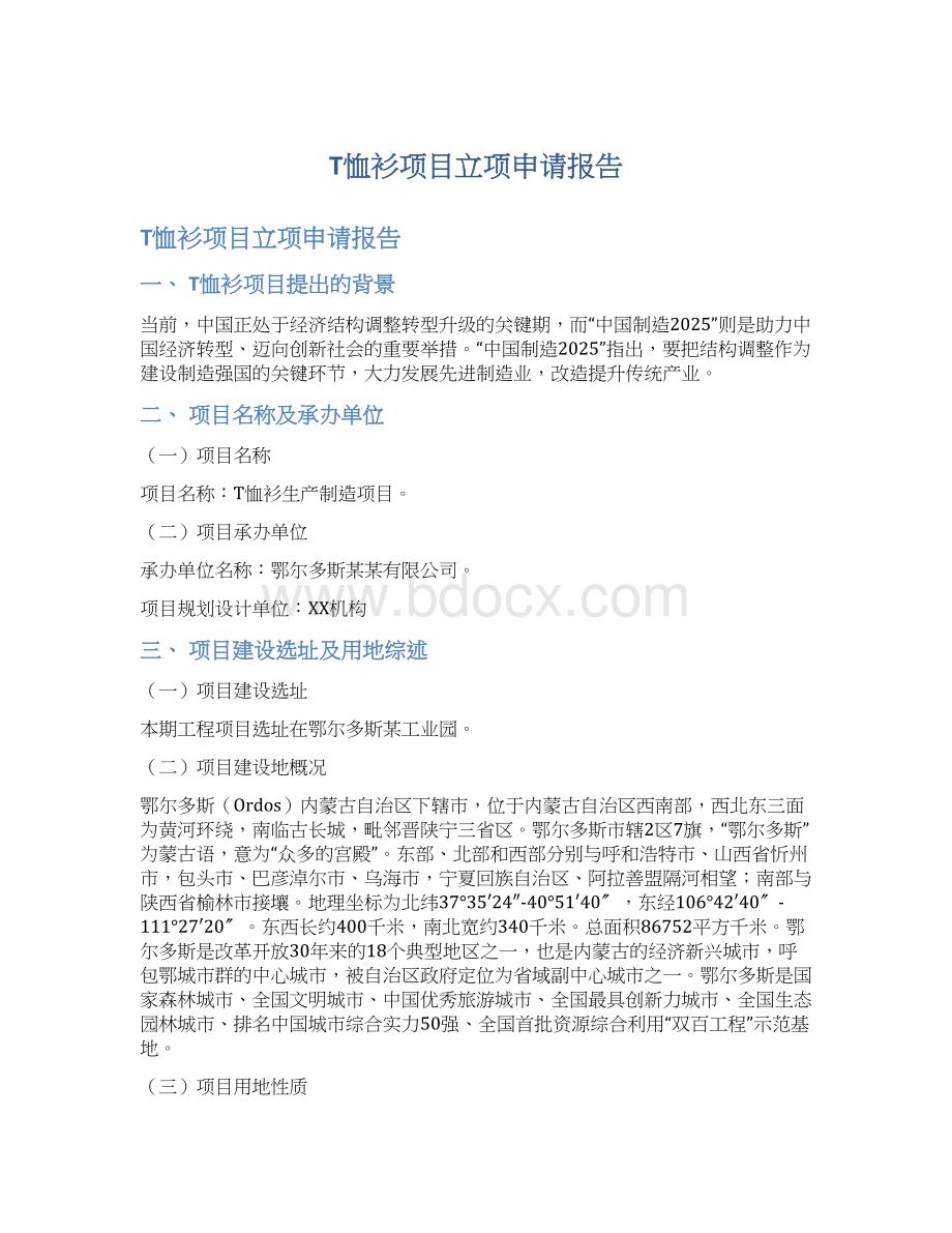 T恤衫项目立项申请报告.docx