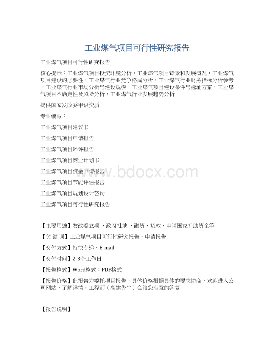 工业煤气项目可行性研究报告Word文件下载.docx