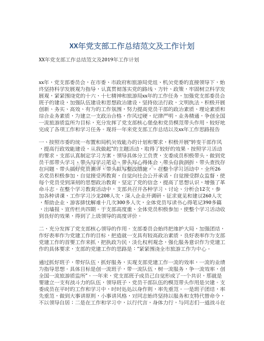 XX年党支部工作总结范文及工作计划.docx