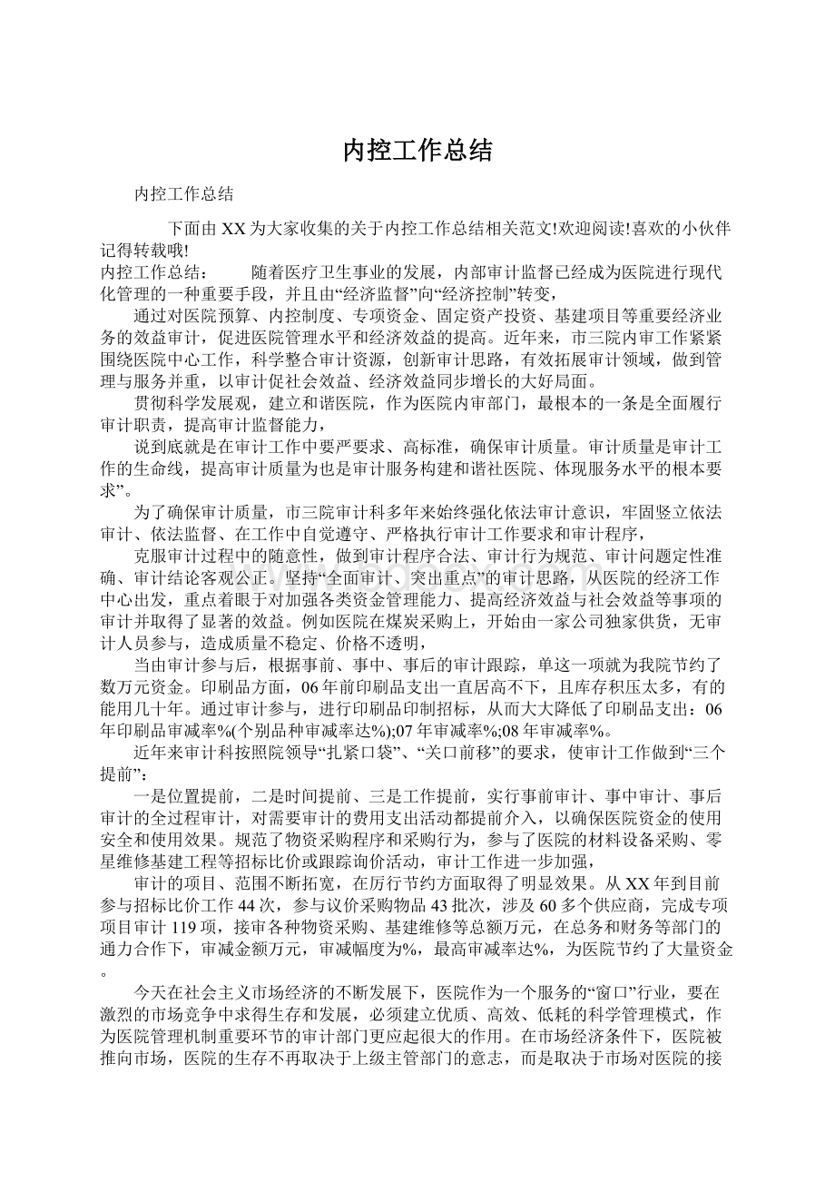 内控工作总结文档格式.docx