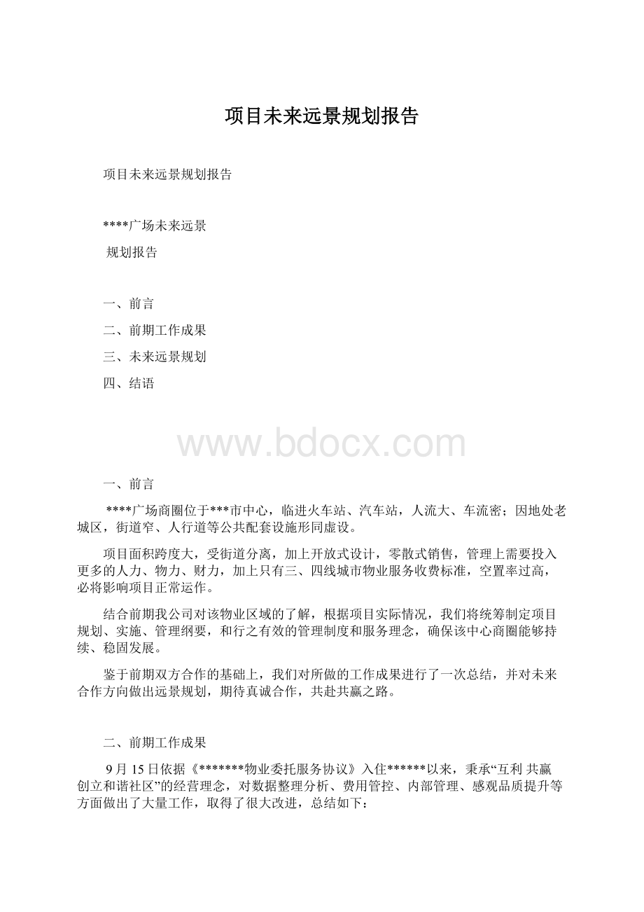 项目未来远景规划报告Word格式文档下载.docx