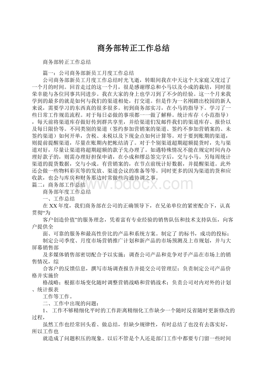 商务部转正工作总结Word下载.docx