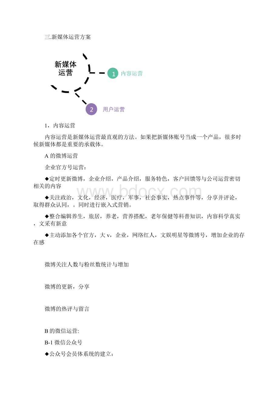 某新媒体运营方案.docx_第2页