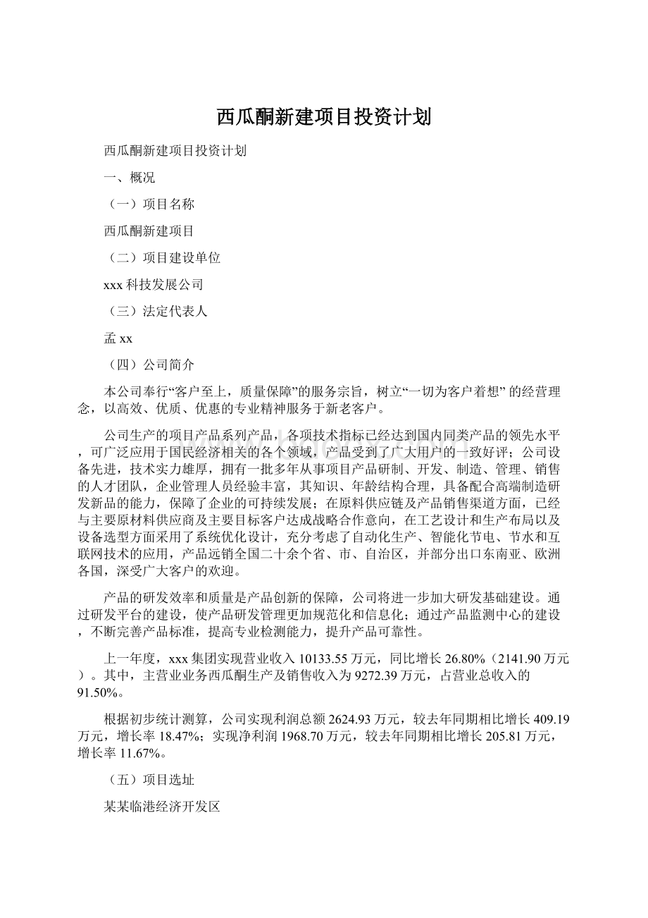 西瓜酮新建项目投资计划文档格式.docx