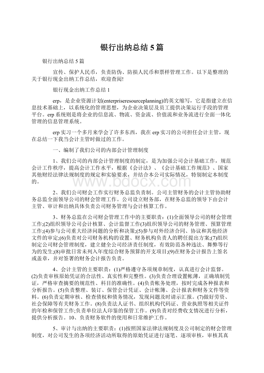 银行出纳总结5篇Word格式文档下载.docx_第1页