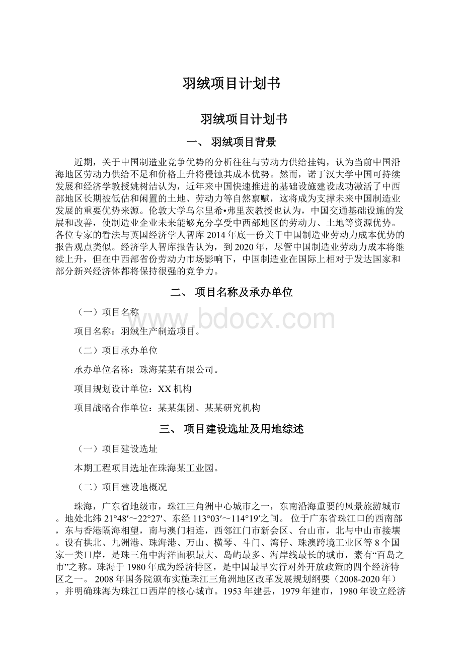 羽绒项目计划书Word格式.docx