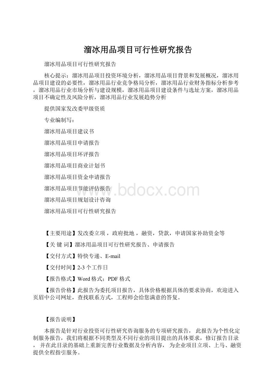 溜冰用品项目可行性研究报告.docx_第1页