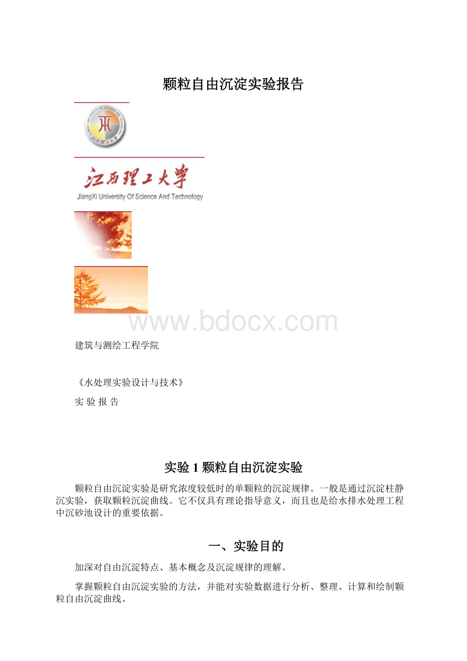 颗粒自由沉淀实验报告Word下载.docx