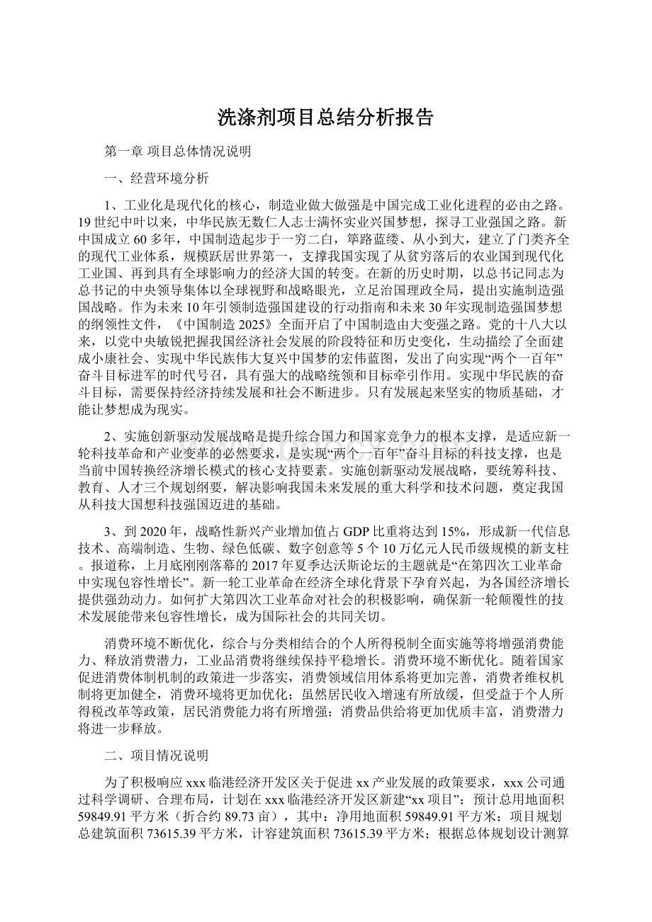 洗涤剂项目总结分析报告Word文档格式.docx