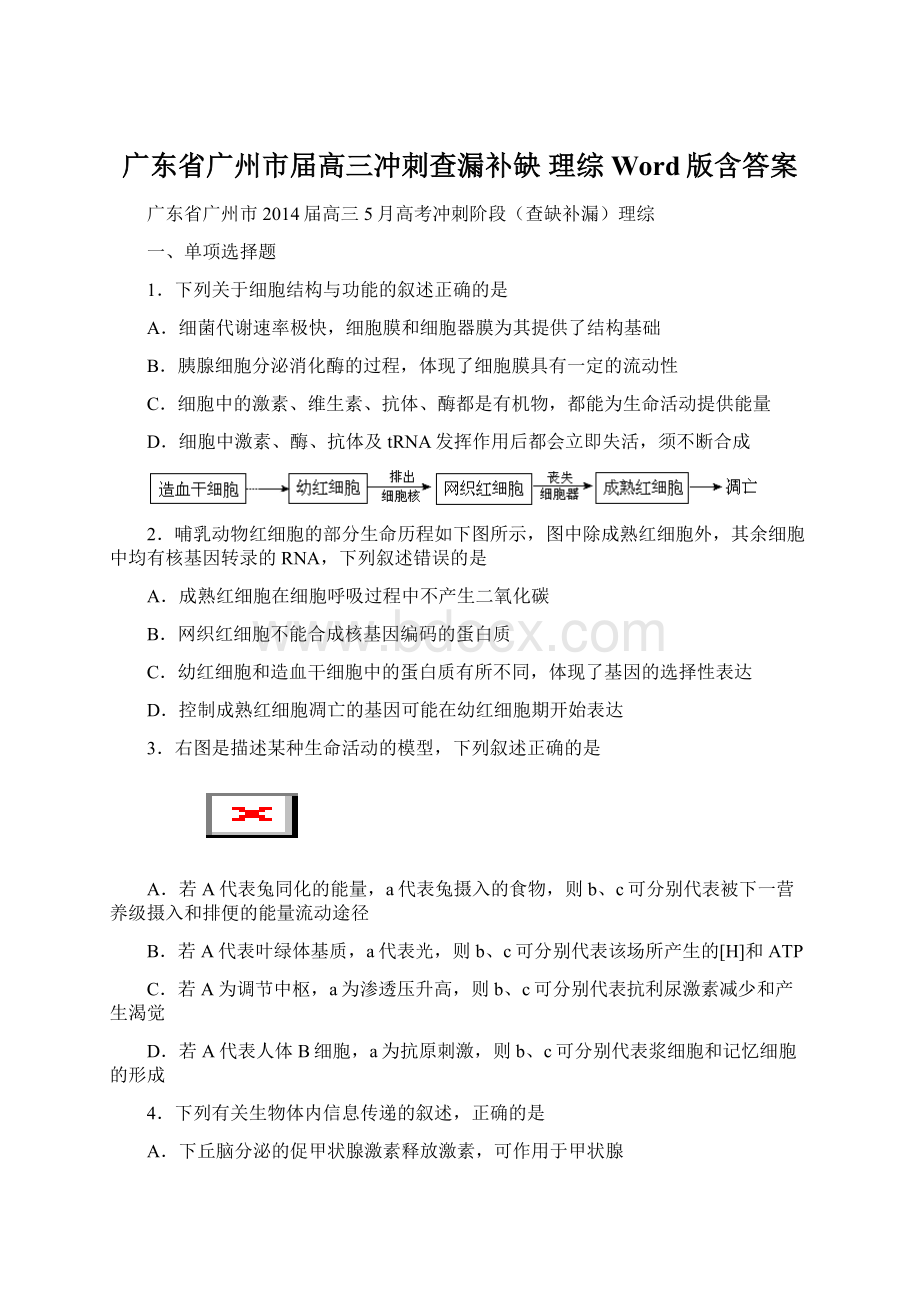 广东省广州市届高三冲刺查漏补缺 理综 Word版含答案Word文件下载.docx_第1页