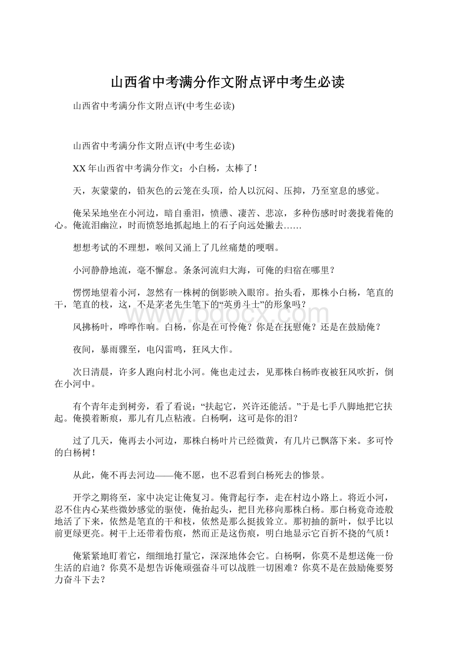 山西省中考满分作文附点评中考生必读Word格式文档下载.docx_第1页