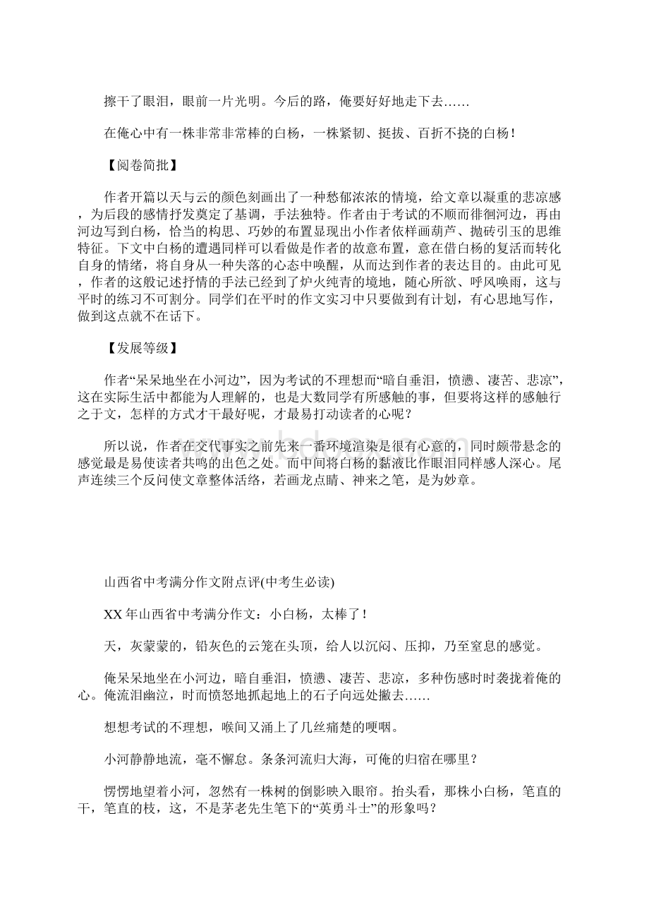 山西省中考满分作文附点评中考生必读Word格式文档下载.docx_第2页