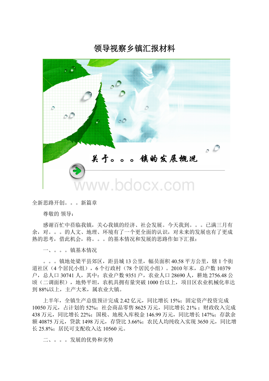 领导视察乡镇汇报材料Word文档格式.docx