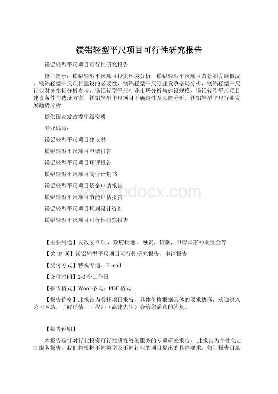 镁铝轻型平尺项目可行性研究报告.docx