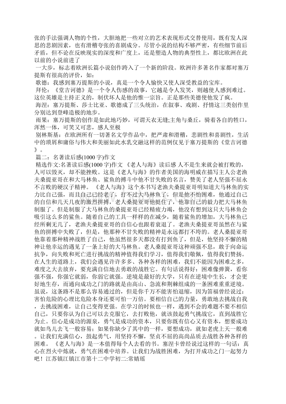 堂吉诃德读后感1000字Word文件下载.docx_第2页