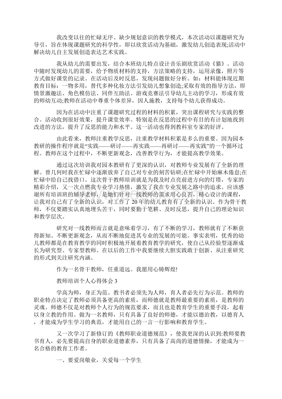 教师培训个人心得体会精选5篇.docx_第3页