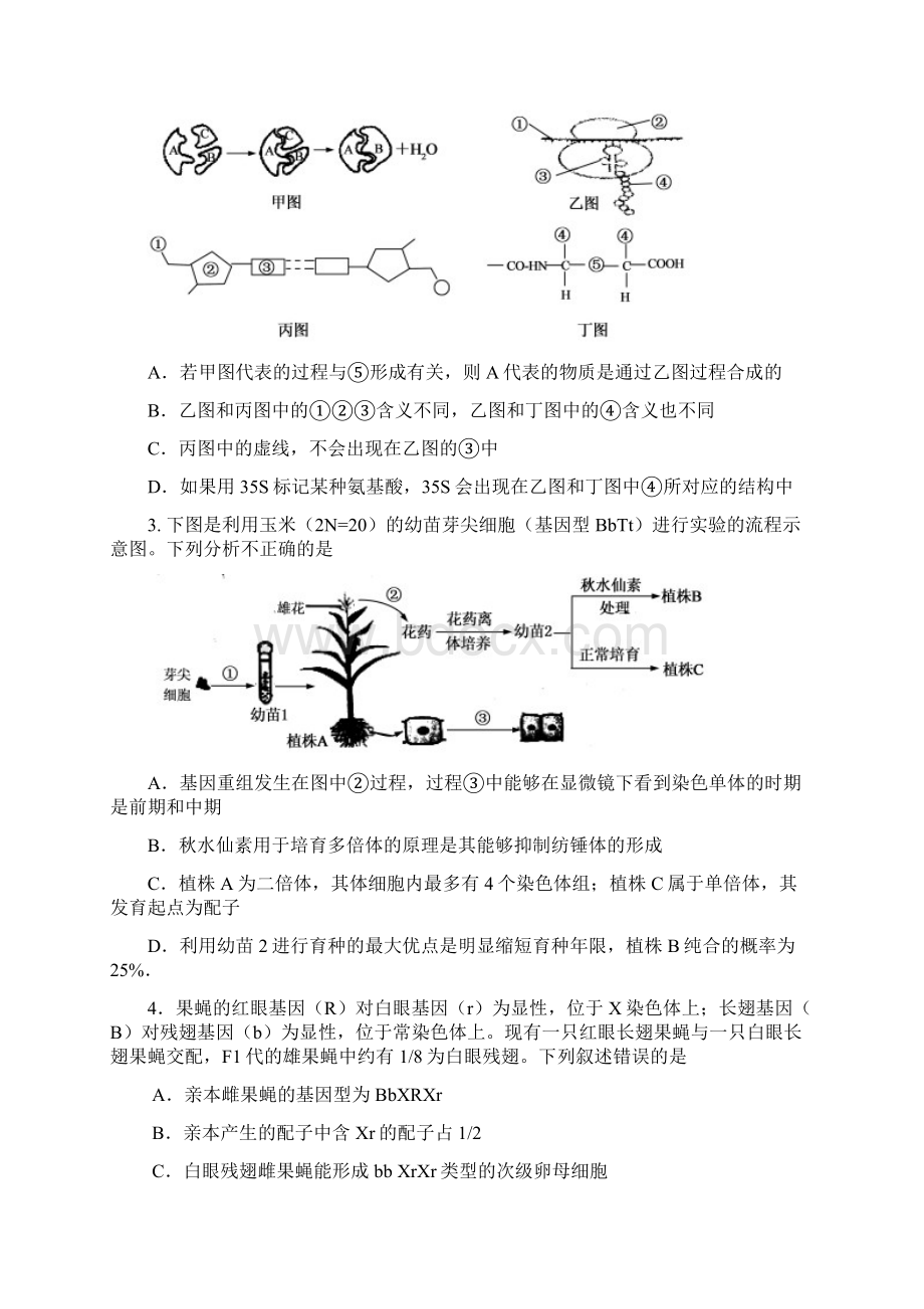 届山东省菏泽市高三模拟考试理科综合试题及答案.docx_第2页