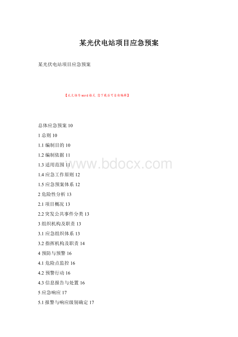 某光伏电站项目应急预案文档格式.docx