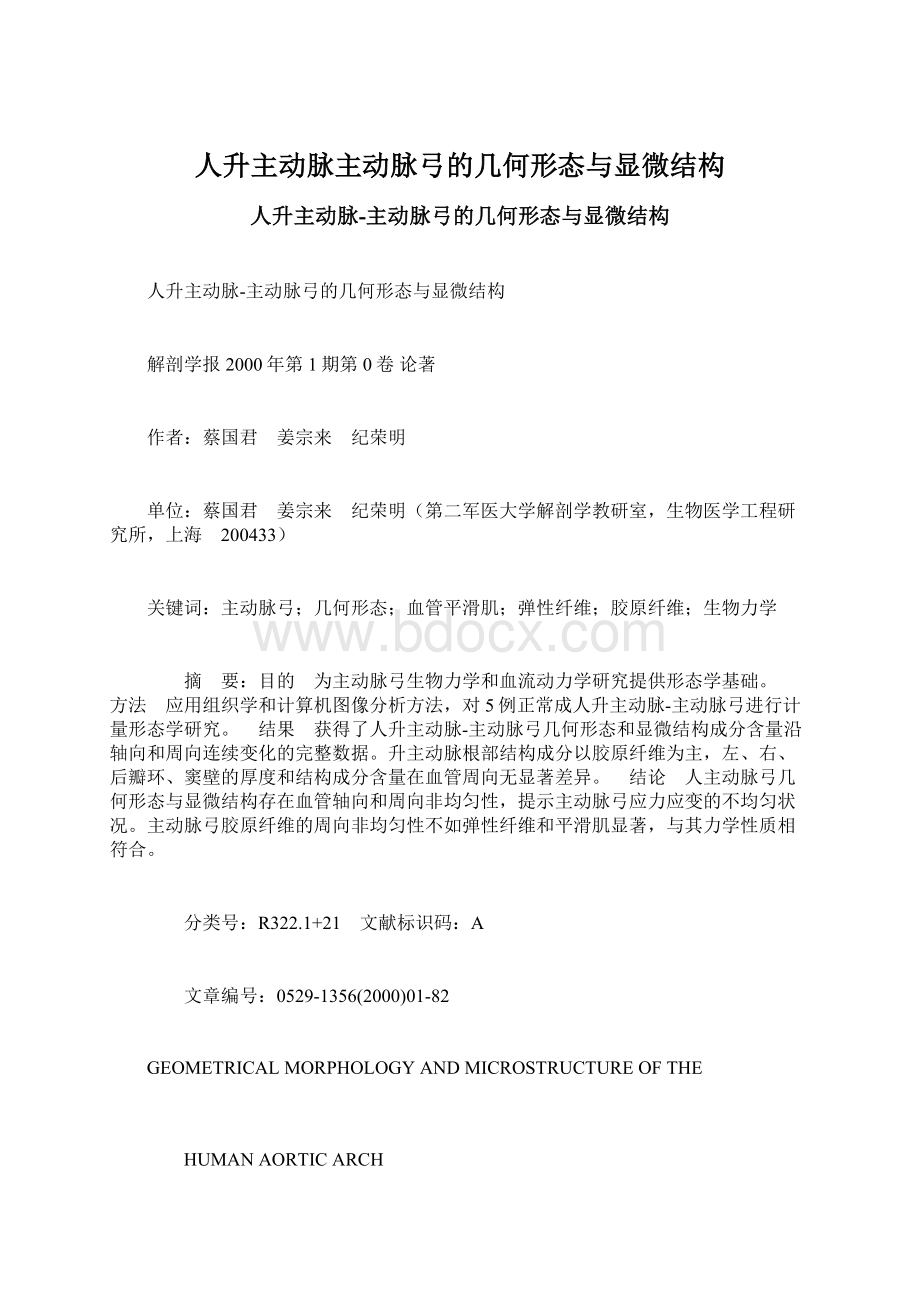 人升主动脉主动脉弓的几何形态与显微结构Word格式文档下载.docx_第1页