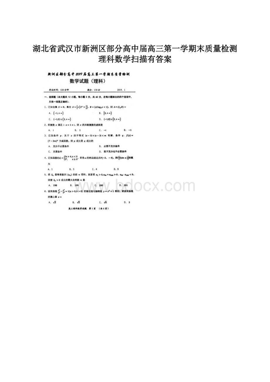 湖北省武汉市新洲区部分高中届高三第一学期末质量检测理科数学扫描有答案.docx