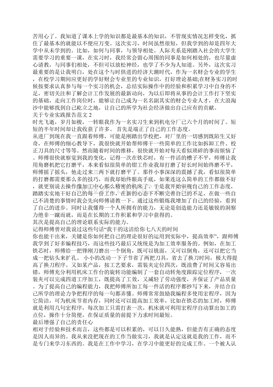 关于专业实践报告范文.docx_第2页