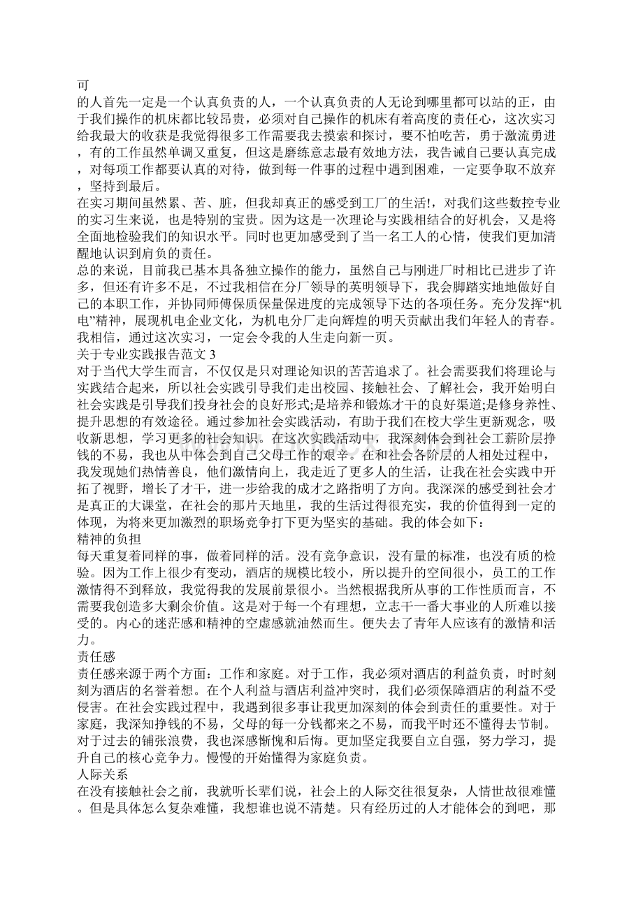 关于专业实践报告范文.docx_第3页