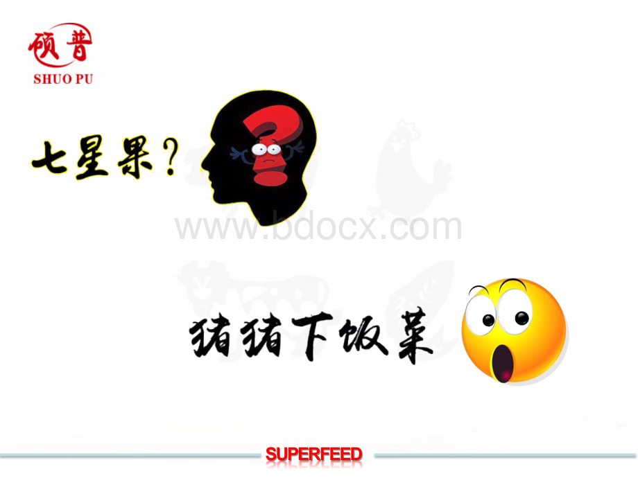 发酵料PPT课件下载推荐.ppt_第2页