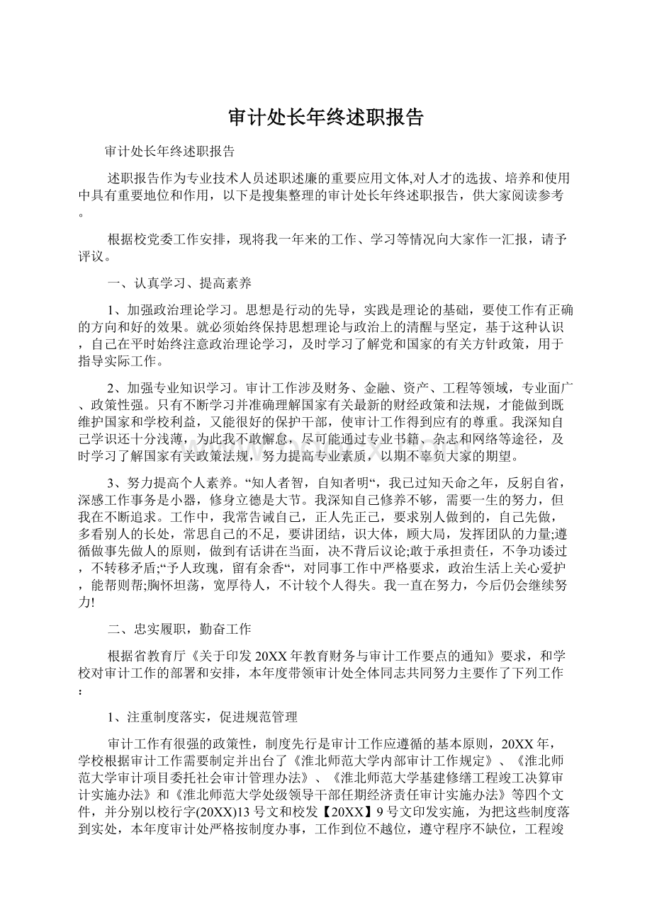 审计处长年终述职报告.docx